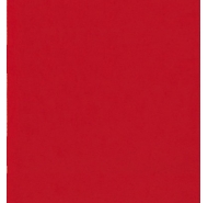 Gạch thẻ Ceramic ốp tường Mã R100-FG