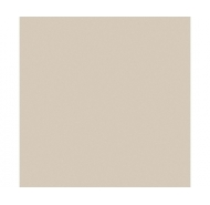 Gạch Granite mài bóng lát nền Viglacera mã gạch TS5-601 gạch loại 1 kích thước 60x60