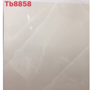 Gạch lát nền Viglacera TB8858