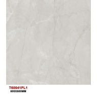 Gạch TQ lát nền mặt bóng đồng chất T60041PL1 kích thước 60x60