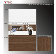 Gạch Ceramic men bóng ốp tường TTC mã gạch Bộ WB36067-68 gạch loại 1 kích thước 30x60