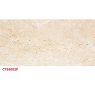 Gạch TQ ốp tường siêu mỏng CT36002P kích thước 30x60
