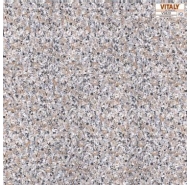 Gạch lát nền VITALY -V5820