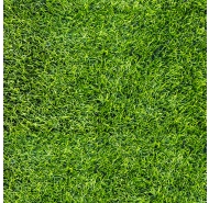 Gạch Granite men mờ lát sân vườn Đồng Tâm mã gạch 4040GREENERY002 gạch loại 1 kích thước 40x40