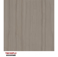 Gạch TQ lát nền mặt bóng đồng chất T60102PL2 kích thước 60x60