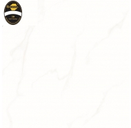 Gạch lát nền NHT 603