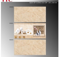 Gạch Ceramic mặt bóng ốp tường TTC mã gạch WB48005 gạch loại 1 kích thước 40x80