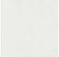 Gạch bán sứ lát nền Thanh Thanh 60x60 (P6103)