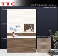 Gạch Ceramic men bóng ốp tường TTC mã gạch Bộ WB36083-84 gạch loại 1 kích thước 30x60