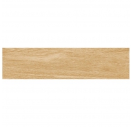 Gạch Porcelain Matt mịn lát nền Viglacera mã gạch GT15604 gạch loại 1 kích thước 15x60