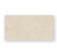 Gạch ốp tường AREA WHITE-SR306A