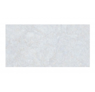 Gạch Ceramic men bóng kháng khuẩn ốp tường Đồng Tâm mã gạch 4080FAME006-H+ gạch loại 1 kích thước 40x80