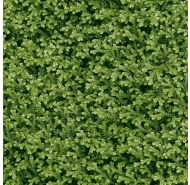 GẠCH LÁT NỀN + SÂN VƯỜN GRANITE 4040THESEA001
