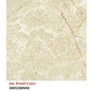 Gạch TQ lát nền PNMY31051 kích thước 30x30