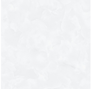 Gạch Porcelain mặt bóng lát nền Hà Thanh mã gạch TK-6652 gạch loại 1 kích thước 60x60