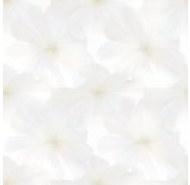 Gạch Porcelain mặt bóng lát nền Prime mã gạch 12032 gạch loại 1 kích thước 60x60