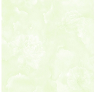 Gạch lát nền PAK-PB5553