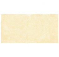 Gạch Granite men mờ ốp lát Đồng Tâm mã gạch 4080GECKO001 gạch loại 1 kích thước 40x80