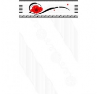 Gạch ốp tường VITALY- W2410VB 