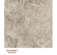 Gạch TQ lát nền 663102NBC3 kích thước 60x60