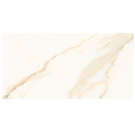 Gạch ốp tường Đồng Tâm 4080REGAL005-H+