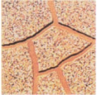 Gạch Terrazzo GTGD - 4V