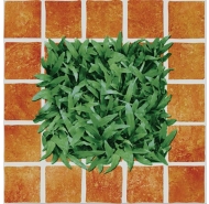 Gạch Granite men mờ lát sân vườn Đồng Tâm mã gạch 4040CLG002 gạch loại 1 kích thước 40x40