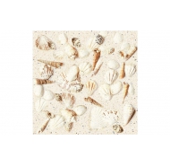 Gạch Ceramic men bóng lát hồ bơi Đồng Tâm mã gạch 2020MARINA003 gạch loại 1 kích thước 20x20
