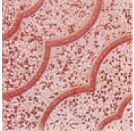 GẠCH TERRAZZO GTCN -4Đ