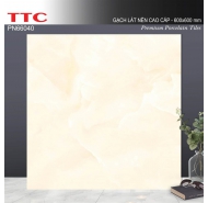Gạch bán sứ Pocerlain mặt bóng kiếng lát nền TTC mã gạch PN66040 gạch loại 1 kích thước 60x60