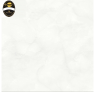 Gạch lát nền NHT 604