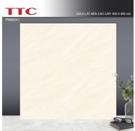 Gạch bán sứ Pocerlain mặt bóng kiếng lát nền TTC mã gạch PN66041 gạch loại 1 kích thước 60x60