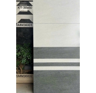Gạch Granite men matt mịn ốp tường Viglacera mã gạch Bộ SMM36001-36002 gạch loại 1 kích thước 30x60
