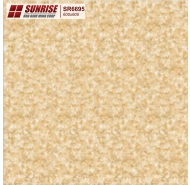 Gạch lát nền Sunrise 60x60 (SR 6695 ) 