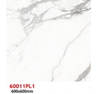 Gạch TQ lát nền 60011PL1 kích thước 60x60