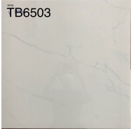 Gạch Granite men bóng lát nền Viglacera mã gạch TB 6503 gạch loại 1 kích thước 60x60