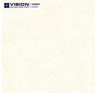 Gạch lát nền Vision 60x60 (VS 6001 ) 