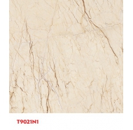 Gạch TQ lát nền Granite công nghệ đồng chất PT9021N1 kích thước 90x90