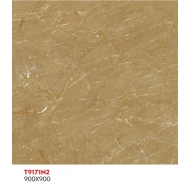 Gạch TQ lát nền Granite công nghệ đồng chất PT9171N2 kích thước 90x90