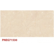 Gạch TQ ốp tường PNEG71530 kích thước 30x60